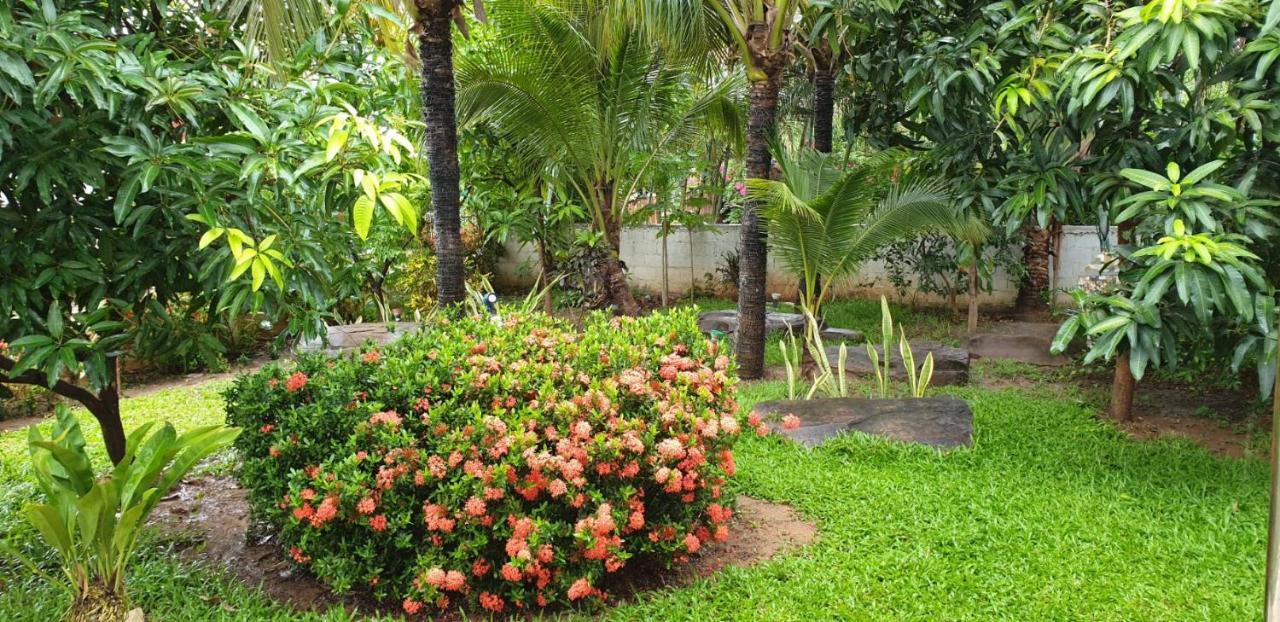 Nuch'S Apple Guest House Si Bun Ruang Esterno foto