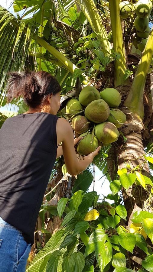 Nuch'S Apple Guest House Si Bun Ruang Esterno foto